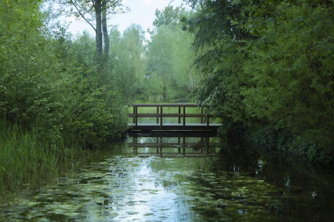 DE GROENE LONG KUURNE